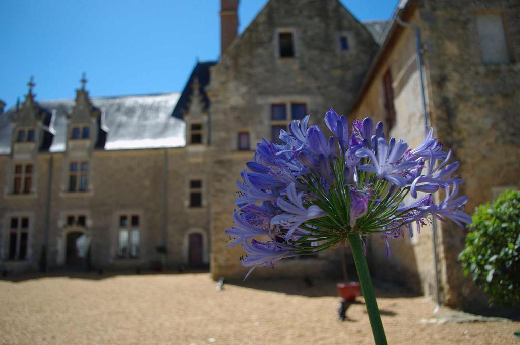 Bed and Breakfast Château De Cheronne à Tuffé Extérieur photo